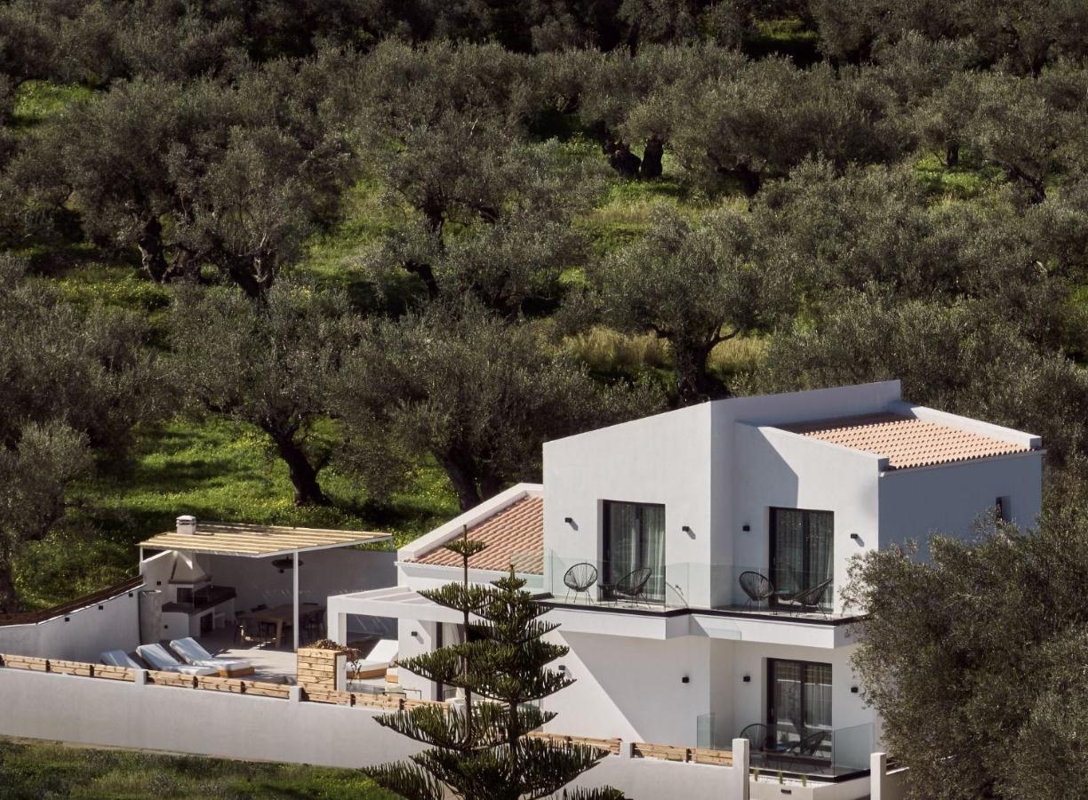 Estelle Villa, A Flamboyant Escape With Pool, By Thinkvilla Romirion